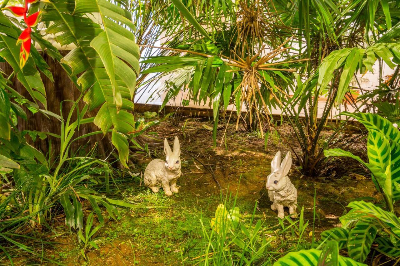 Casa Holiday Resorts Araku Dış mekan fotoğraf